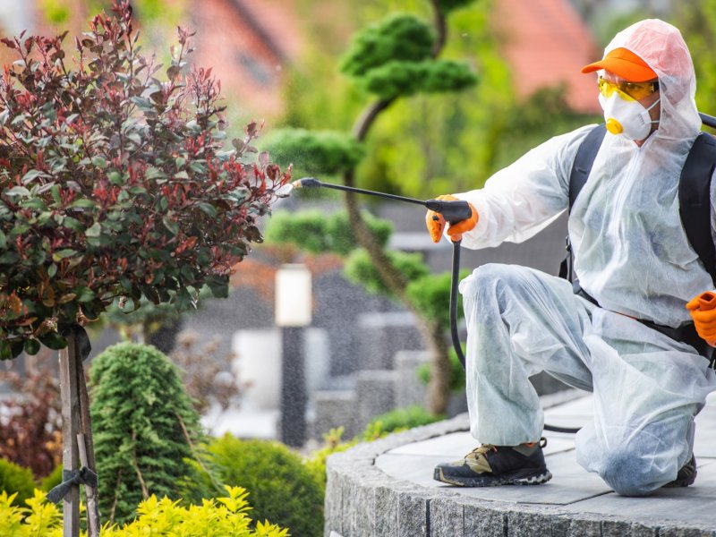 Sultangazi Haşere İlaçlama